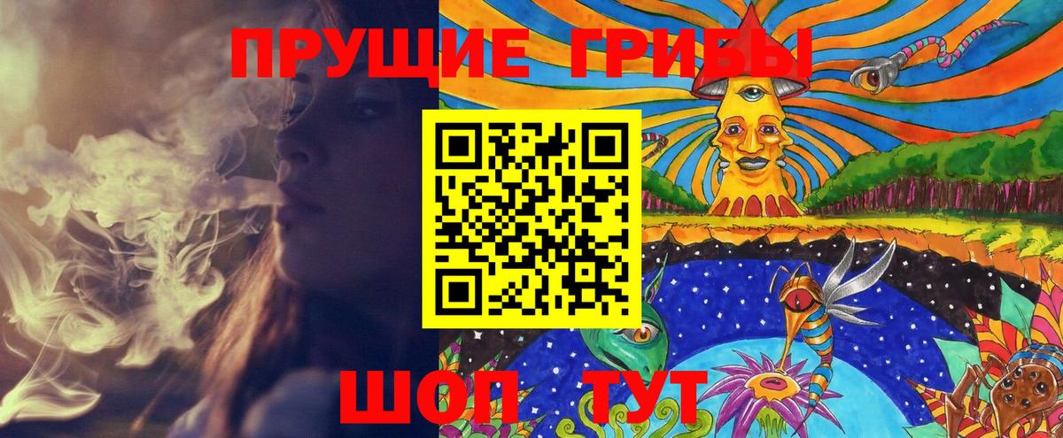 Галлюциногенные грибы Magic Shrooms  Вход с VPN  Галлюциногенные грибы Cubensis  цена   Отрадный 