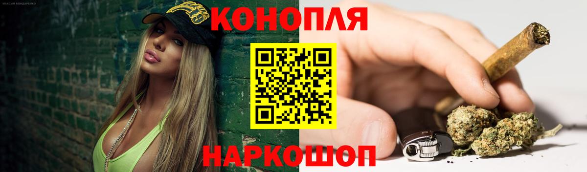 Конопля планчик Отрадный